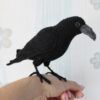 Receita Corvo Amigurumi