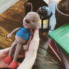Formiga - Receitas de Amigurumi em Portuguê