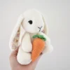 Receita Coelho e Cenoura Amigurumi